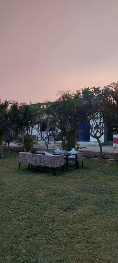 The Black Leaf Otel Rāipur Dış mekan fotoğraf